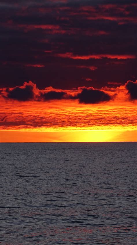 Download Clouds Sunset Sea Calm Sea Wallpaper 1440x2560 Qhd