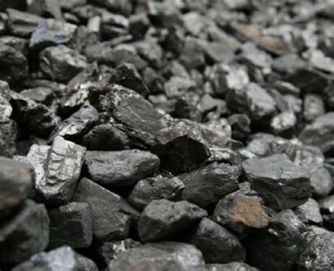 Anthracite Coal And Bituminous Coal Wholesaler Shiv Coyala Deepo