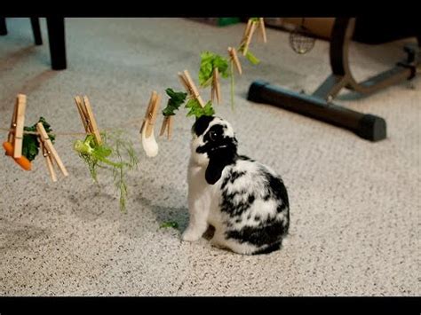 Gift this beautiful wooden rabbit toy to celebrate their christening day! DIY Rabbit toys - YouTube