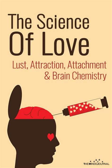 The Science Of Love Beyond Lust Attraction And Attachment