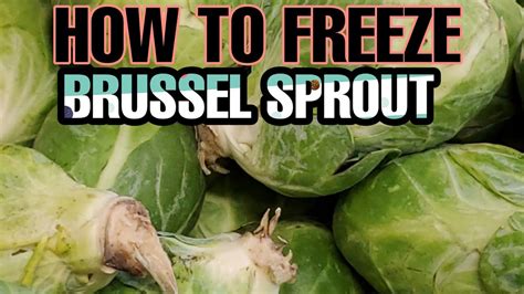 How to freeze brussel sprouts from garden. HOW TO FREEZE BRUSSEL SPROUT - YouTube