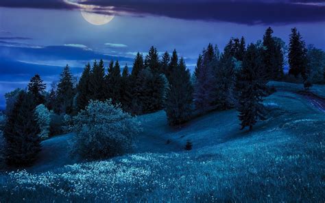Nature Wallpapers 29 Hd Wallpapers Night Landscape Nature