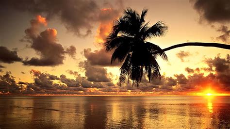 Hawaii Beach 1080p 2k 4k 5k Hd Wallpapers Free Download Wallpaper