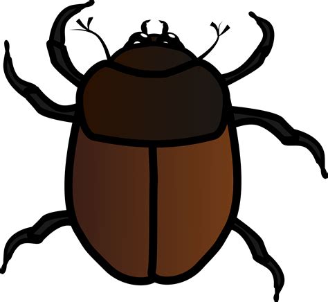 Fly Clipart Beetle Lalat Vektor Png Transparent Png F
