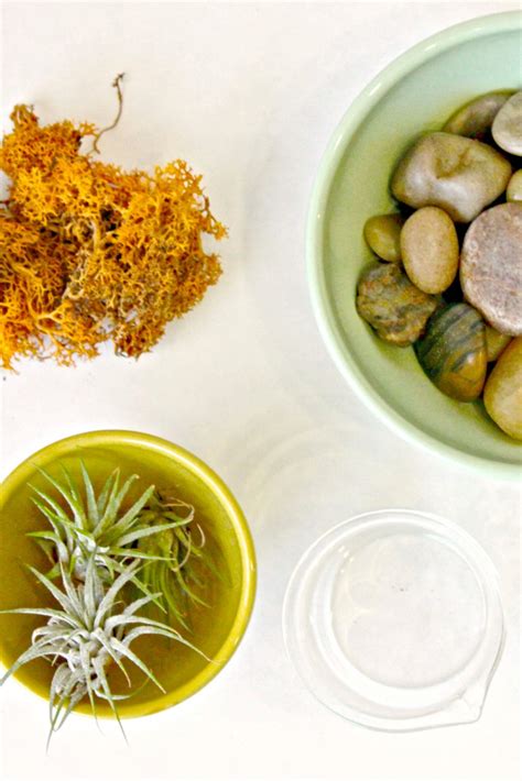 We also wanted to style this air plant terrarium with a more natural theme. How to Make a DIY Air Plant Terrarium - Dear Handmade Life