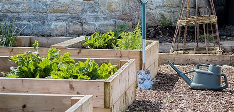 The challenge is to grow as much food as possible while resisting the sign up for email. How To Create Your Own Raised Garden Bed