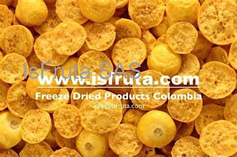 Freeze Dried Physalis Goldenberrycolombia Price Supplier 21food