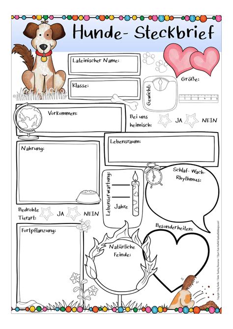 Steckbrief Hunde – Unterrichtsmaterial im Fach Sachunterricht in 2020