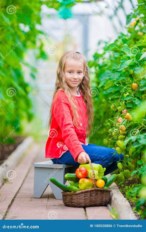 Menina Ador Vel Que Colhe Pepinos E Tomates Na Estufa Retrato Da