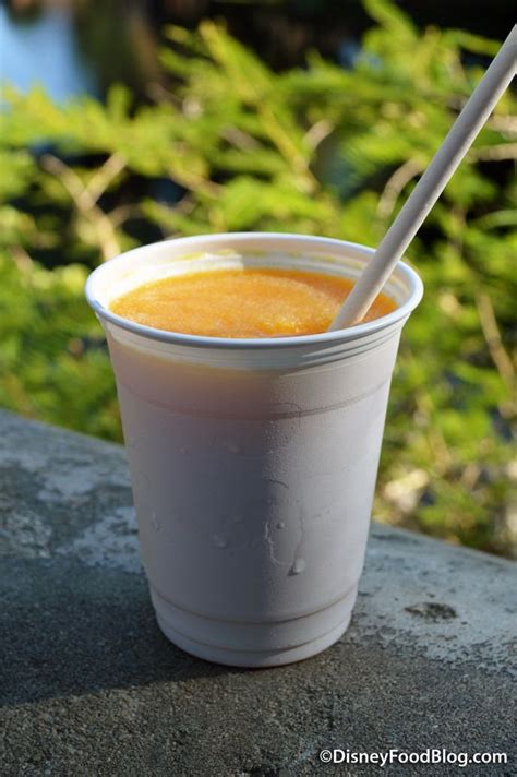 Jungle Juice Slush at Animal Kingdom’s Mahindi (AKA Harambe Popcorn