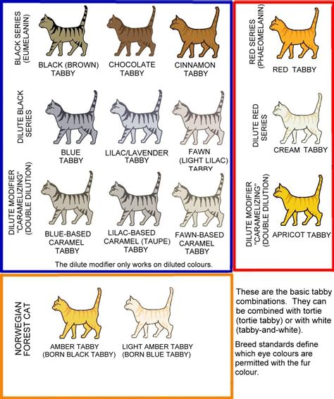 We did not find results for: Tabby Patterns and Colors (Cats) | Meow Barkers