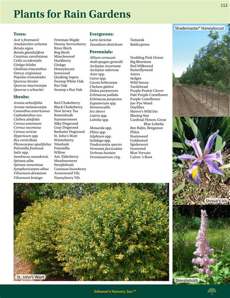 Johnsons Nursery Plant Reference Guide