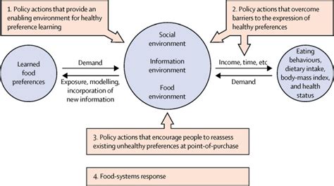 Smart Food Policies For Obesity Prevention The Lancet