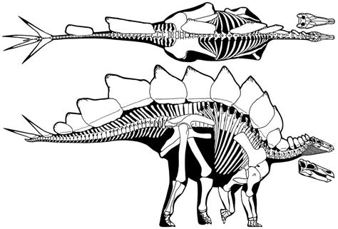 Template dino knochen diy dinosaurier basteln dinosaurier skelett dinosaurier. Malvorlage Dino Skelett | Aiquruguay