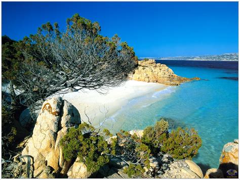 In the midst of life. Art and Food of Italy: Sardinia and its Secrets: beaches, nature and mystery