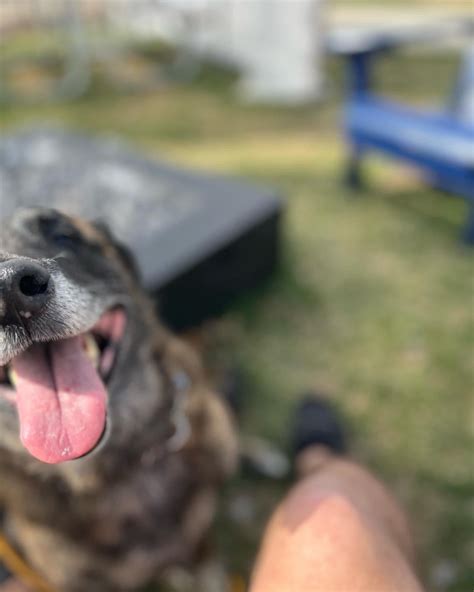 Took advantage of the nice weather yesterday and walked to our local