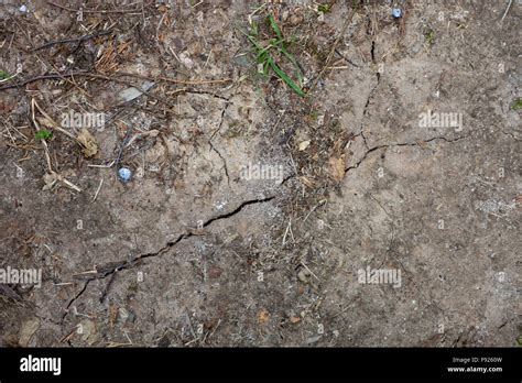 Crack In A Dry Patch Of Dirt Gritty And Rough Texture Stock Photo Alamy