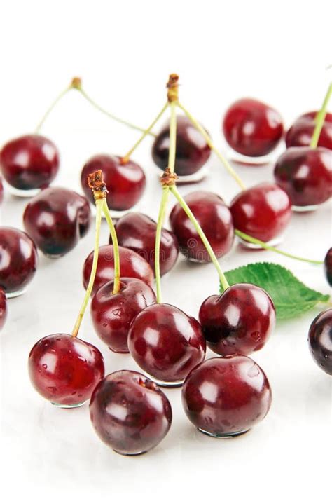 Berries Ripe Red Cherries Stock Image Image Of Freshness 31431991