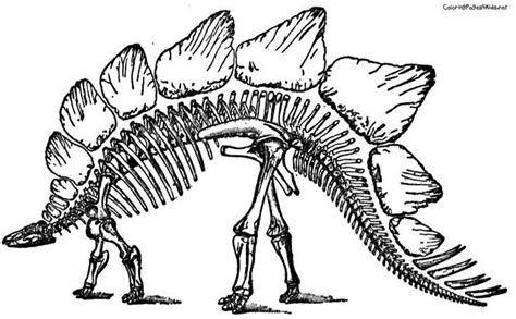 We did not find results for: Stegosaurus Coloring Pages - GetColoringPages.com