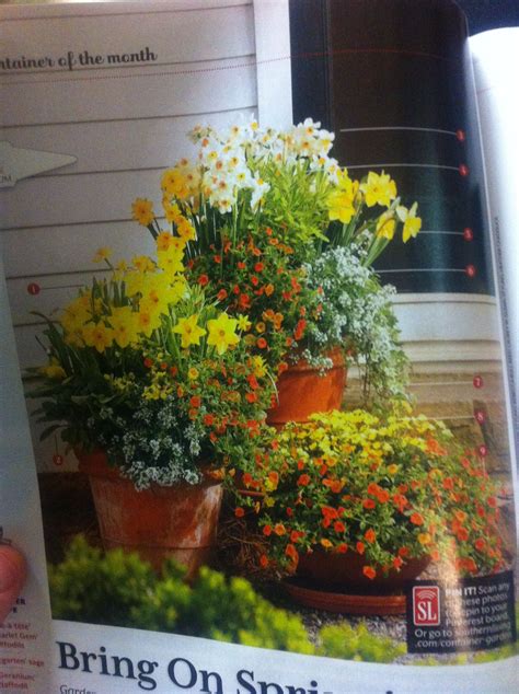Southern Living Container Southern Living Plants Garden