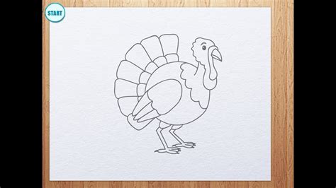 How To Draw A Cartoon Turkey Thanksgiving Day Youtube
