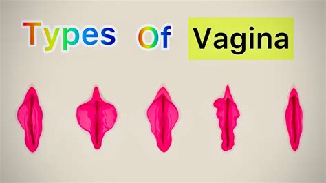 types of vagina explore 7 types of vagina youtube