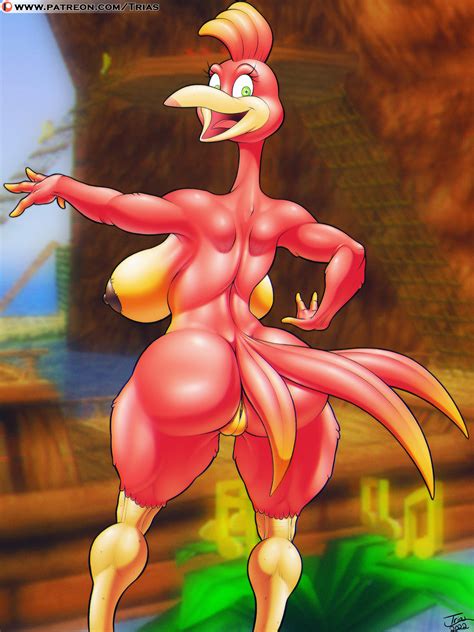 Rule 34 Anthro Ass Athletic Athletic Female Avian Banjo Kazooie Big