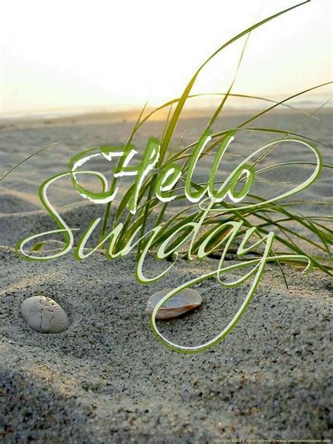 Pin By Beth Slack On Lifes A Beach Weekend Quotes Hello Sunday