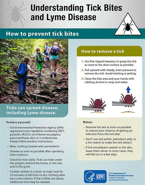 How To Prevent Tick Bites And Lyme Disease