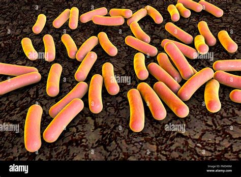 Pseudomonas Infection High Resolution Stock Photography And Images Alamy