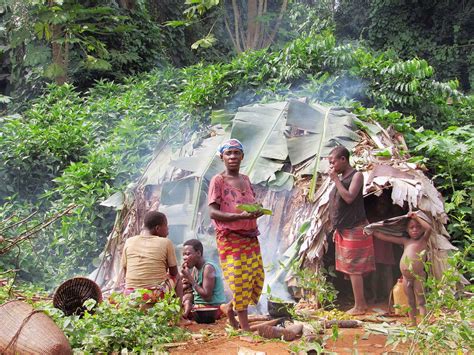 Indigenous Peoples Rights Baka Communities Minfof Set Modalities For