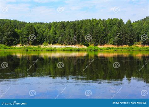 Blue Water In A Forest Lake With Pine Trees Stock Image Image Of