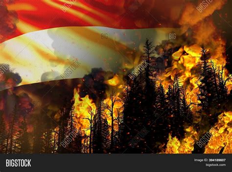 Big Forest Fire Fight Image And Photo Free Trial Bigstock