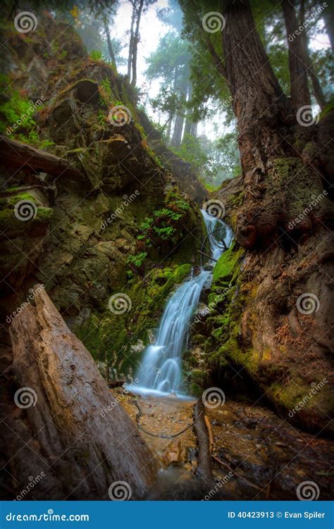 Forest Waterfall Stock Image Image Of Timber Path Cloudy 40423913