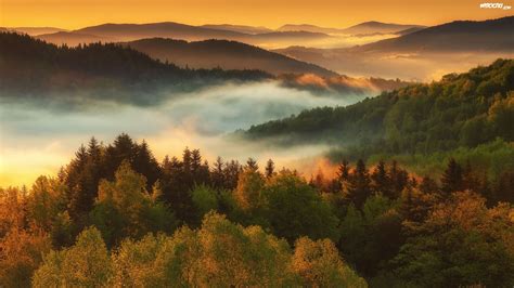 Góry Beskidy Lasy Zawoja Mgła Wschód Słońca Polska