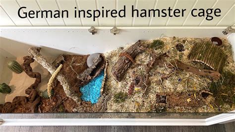 German Inspired Hamster Cage Settup New Hamster Youtube