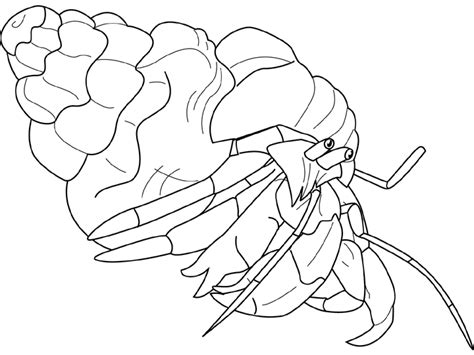 Unlike many crustaceans, hermit crabs aren't born with a hard exterior covering their entire body. Coloring hermit crab picture