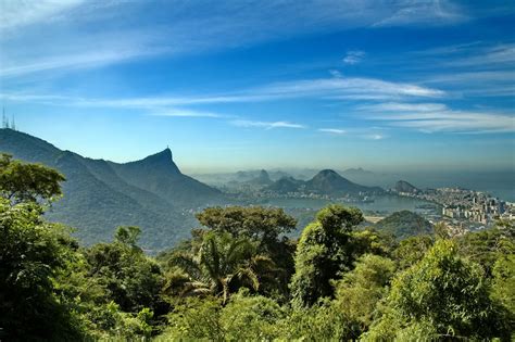 Brazil Nature Tours Travel Through Brazil And Its Vast Nature