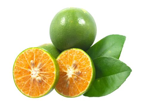 Calamansilime Stock Photos Pictures And Royalty Free Images Istock