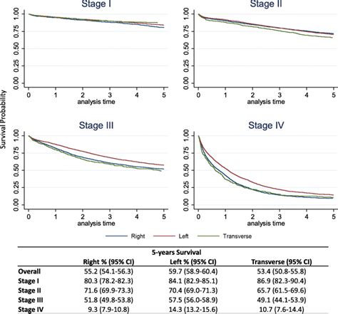 Five Year Survival By Stage And Cancer Site Curves And Percentage Of
