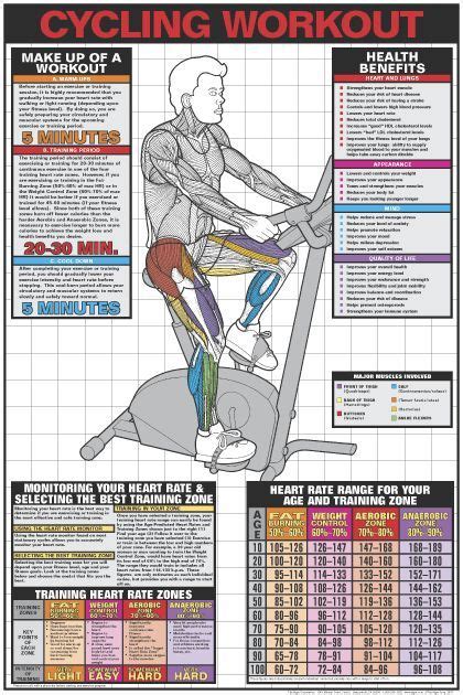 Cycling Workout   Elliptical workout, Workout posters  
