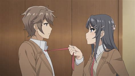 Pin On •rascal Does Not Dream Of Bunny Girl Senpai•