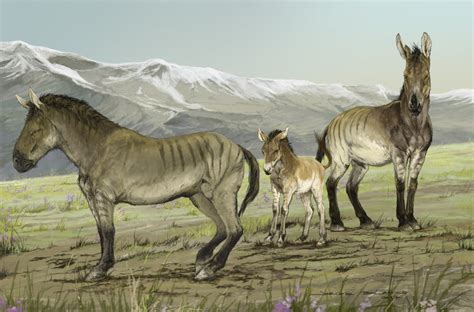What Were The Ice Age ‘stilt Legged Horses Of North America