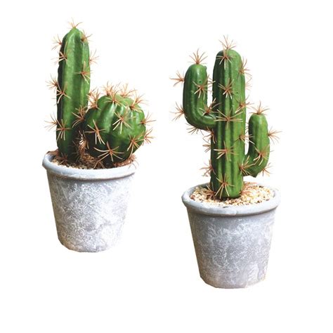 Buy Fycooler Artificial Succulent S Faux Cactus Decorative Faux
