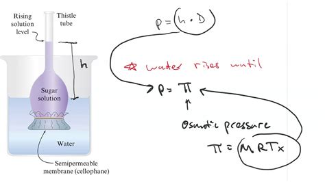 Osmotic pressure is a colligative property of a substance since it depends on the concentration of the solute and not its chemical nature. Osmotic Pressure - YouTube