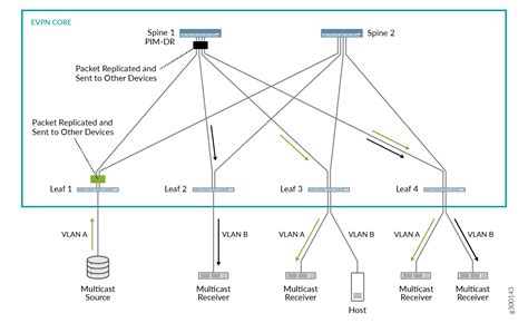 Overview Of Selective Multicast Forwarding Junos Os Juniper Networks