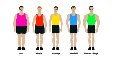 Los Cinco Tipos De Cuerpo Masculino ¿con Cuál Te Identificas Quo