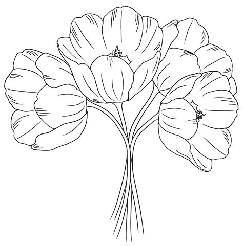Tulips-Bearywishes.blogspot.com.jpg 1,576×1,600 pixels ... Invitation card plants wedding flower flower card flower vintage summer kids flower outline flores lavender lace cartoon orchid flower crown flower line.