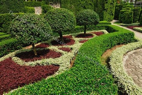 Trees And Shrubs For Landscaping Small Ornamental Trees