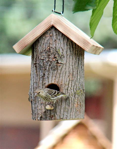 Making wooden birdhouses is a fun and satisfying hobby, combining my interests in bird watching with woodworking. Window and Log Bird Houses and Feeders - Forest Street Designs